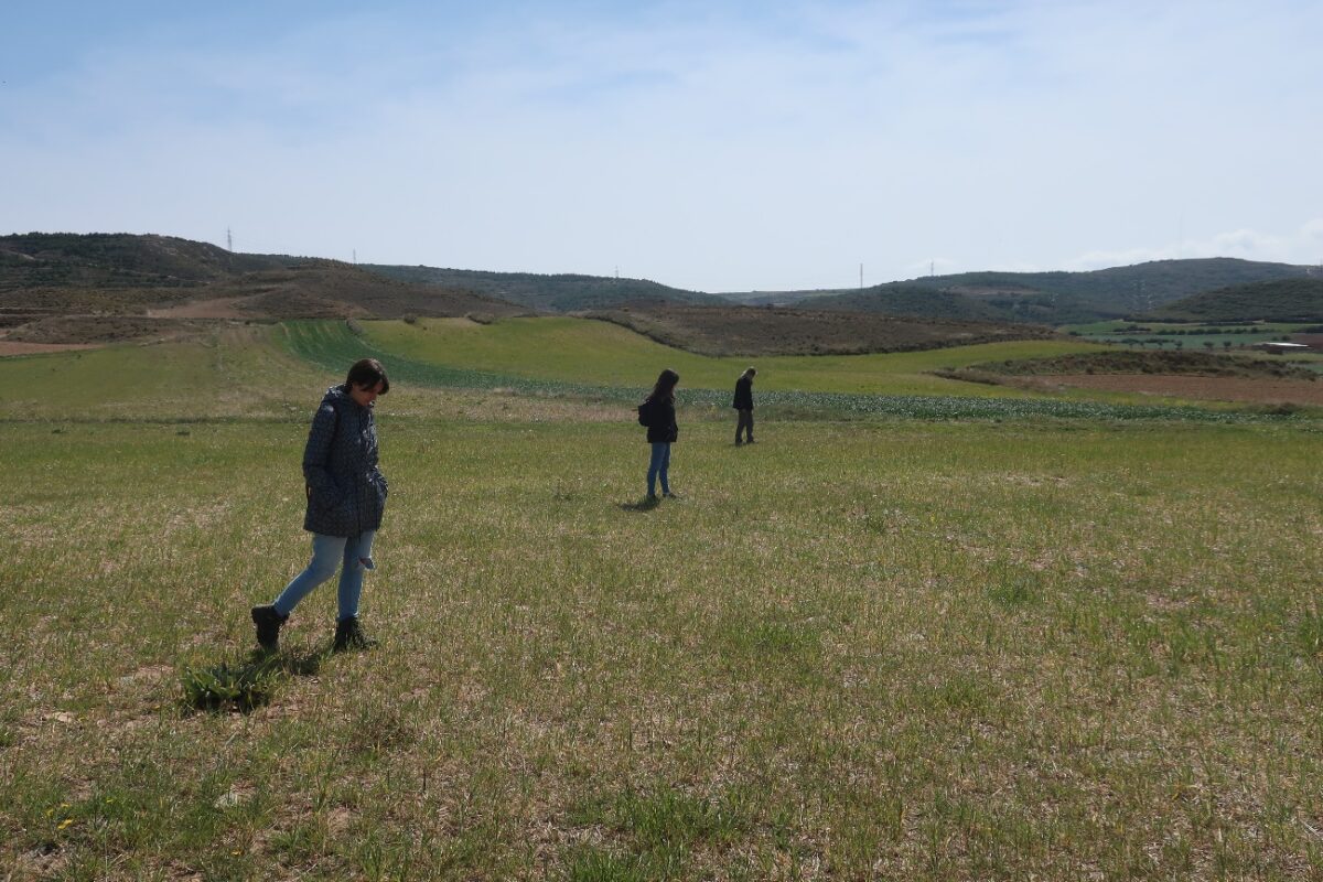 PROSPECCION ARQUEOLOGICA